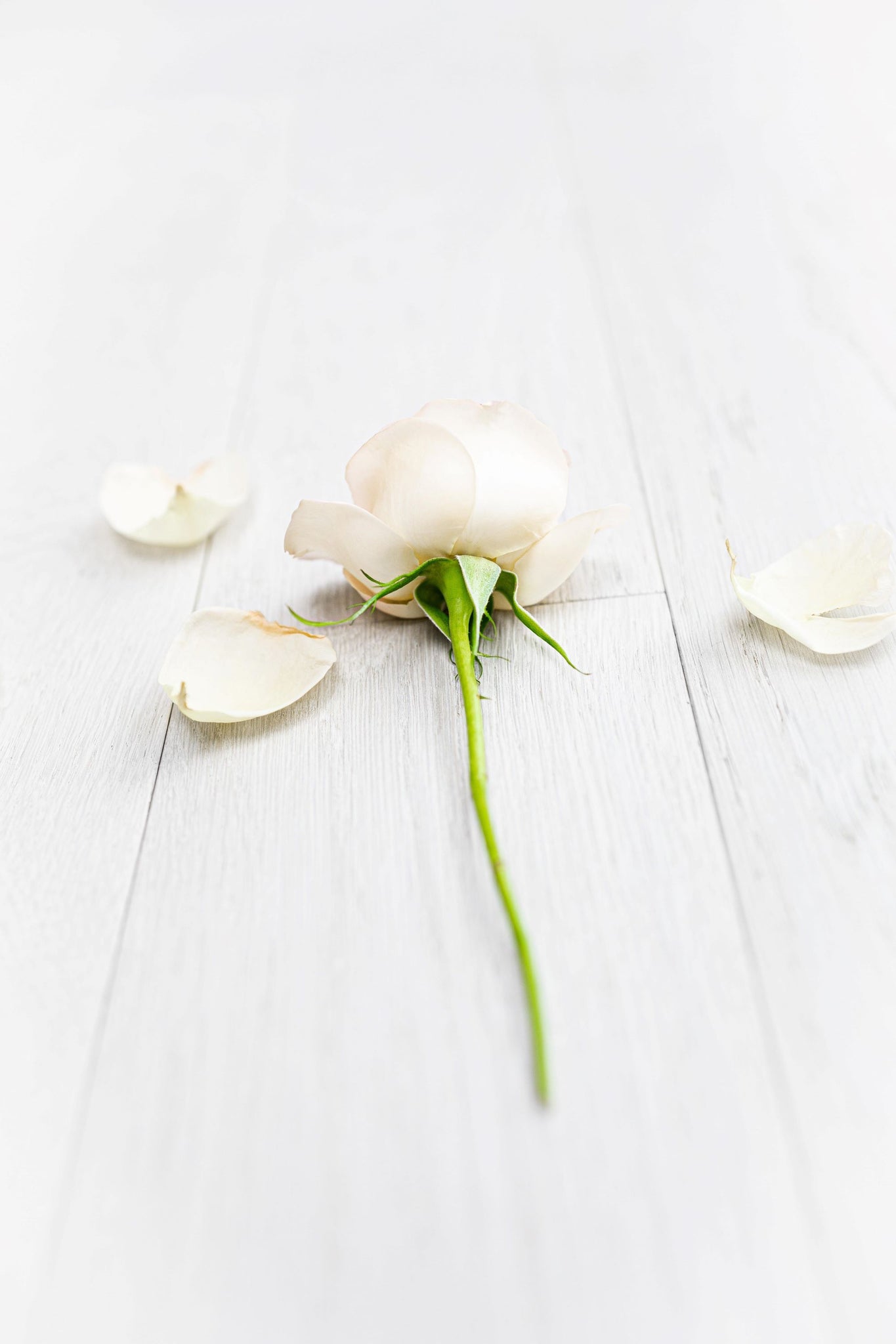 3 Ways to Support a Loved One Going Through a Divorce