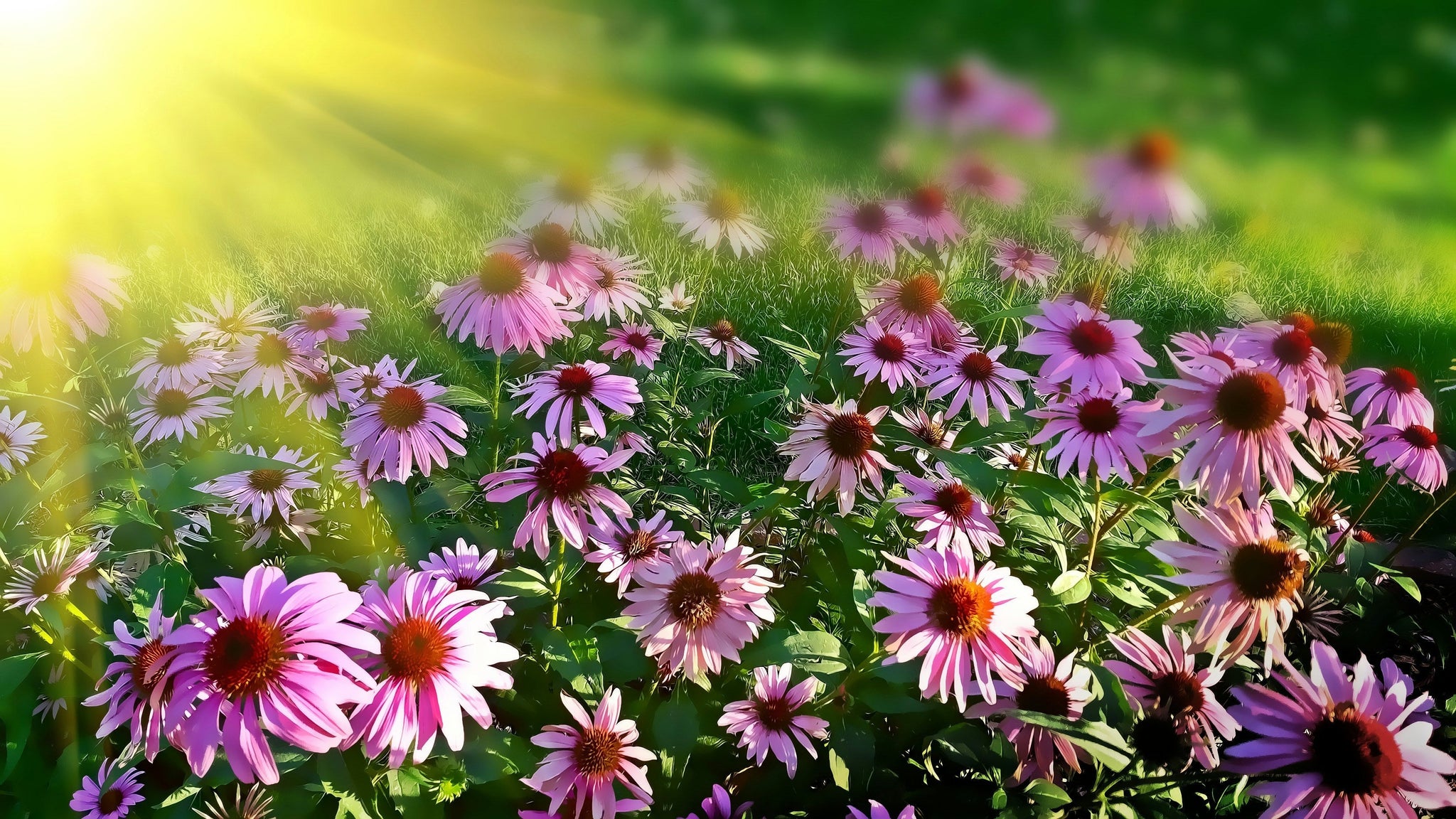5 Ways to Honor a Passed Loved One