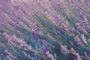 Menopause & Perimenopause
