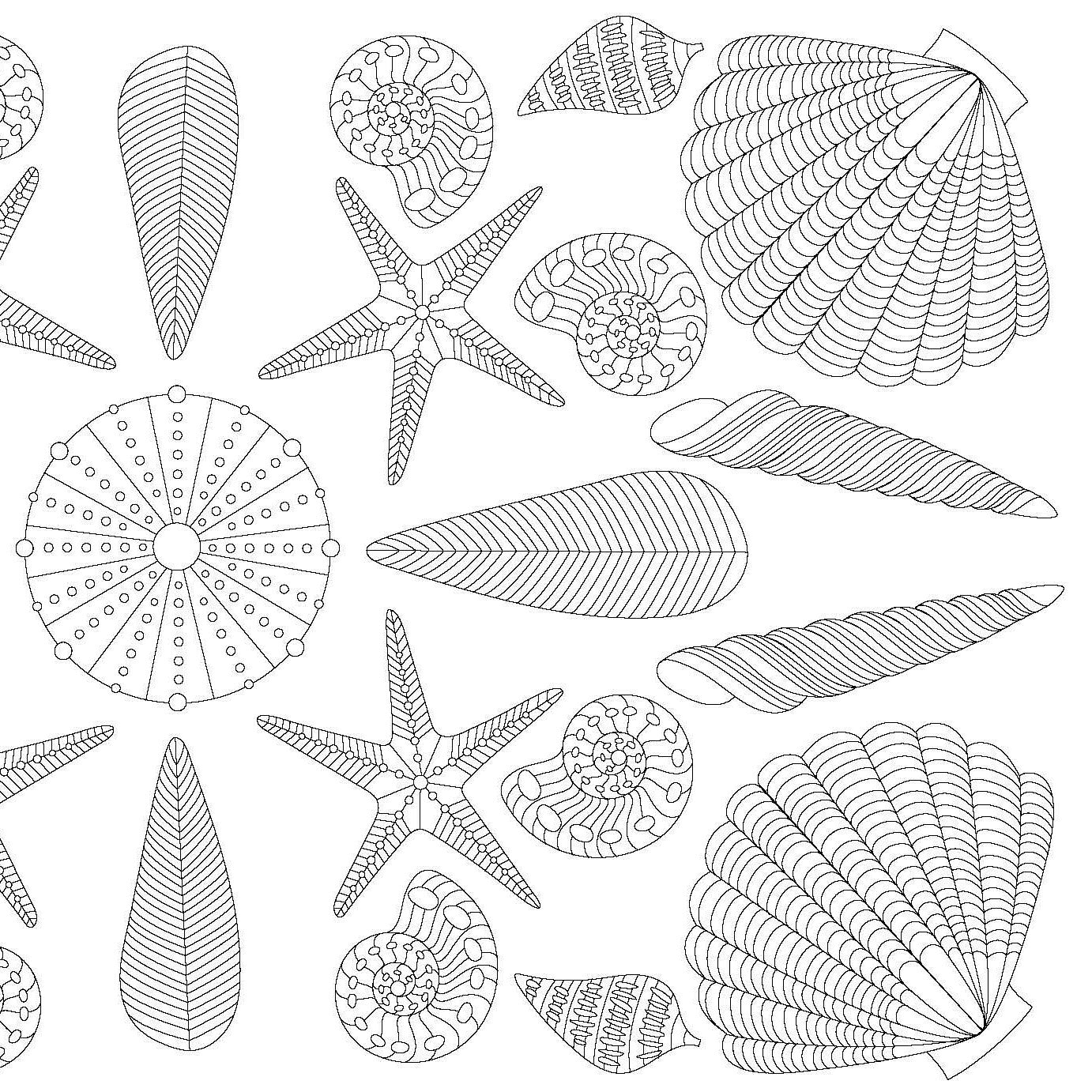 An interior page of the MIndfullness coloring book depicts shells and starfish. 