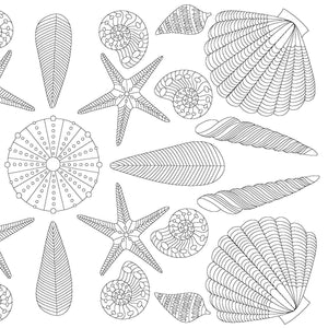 An interior page of the MIndfullness coloring book depicts shells and starfish. 
